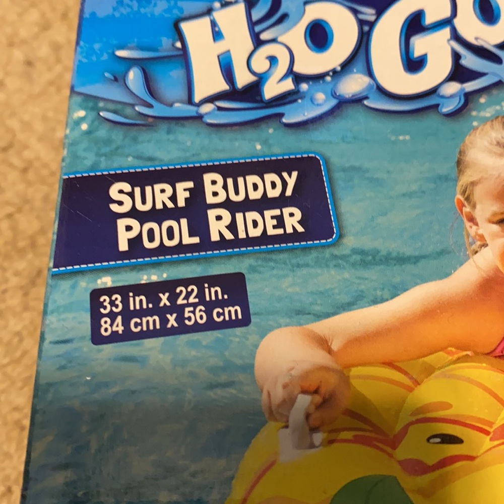 Pool Float - Picture 3 of 3